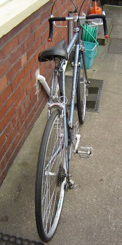 DSC03275.JPG