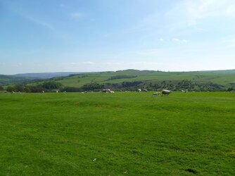 Sheep and views.JPG