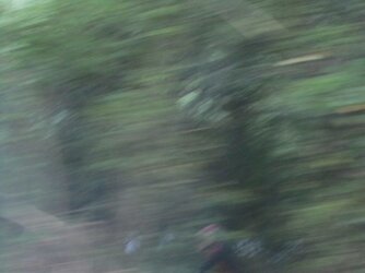 2 Cylists were seen from the train near Ambleton.jpg