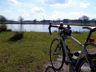 Bike at tatton.JPG