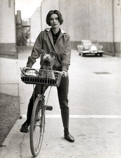 Audrey-Hepburn-And-Her-Yorkie-On-Bike-710816.jpeg