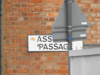 ass P small.png