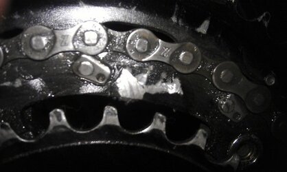 Chainring closeup.jpg