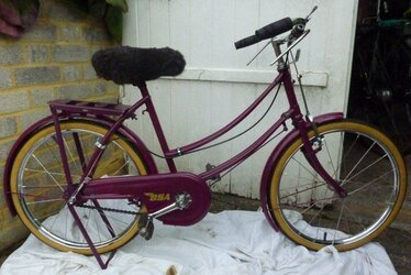 Girl's Parabike restored.jpg