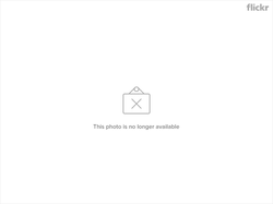 6389186497_8bcde149cf_z.jpg 6389186497_8bcde149cf_z.jpg