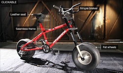 polar_bike624x370.jpg