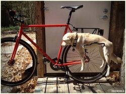 Dog-Bike-Carrier-2.jpg