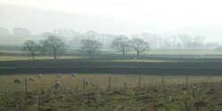 trawden-fields-winter-sunshine-wide.jpg