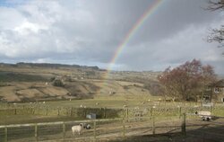 sheep-at-the-end-of-the-rainbow-wide.jpg