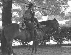 78104d1159194082-cowboy-horse-cowbow.jpg