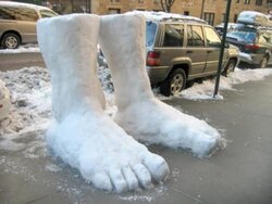 two_feet_snow_seattle.jpg
