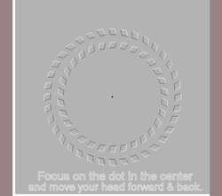 focus-illusion.jpg