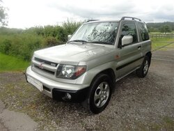 pinin3.jpg