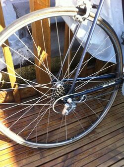 IMG_0135.jpg IMG_0135.jpg