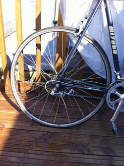 IMG_0137.jpg IMG_0137.jpg