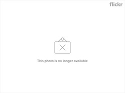 7073187883_7a73e0ae3a.jpg 7073187883_7a73e0ae3a.jpg