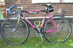gary-bike-002-jpg.4398.jpg