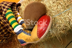 stock-photo-1798341-big-clown-shoes.jpg