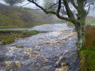 (3) Wheeldale Gill 30-05-2013 13-01-58.JPG