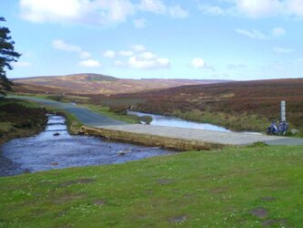 (15) Tranmire Bog. 31-05-2013 08-43-38 2625x1974.JPG