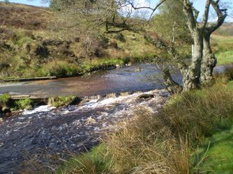 (21) Wheeldale Gill. 31-05-2013 09-09-55.JPG