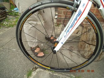 bike 003.jpg