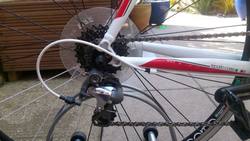 bianchi7.jpg bianchi7.jpg