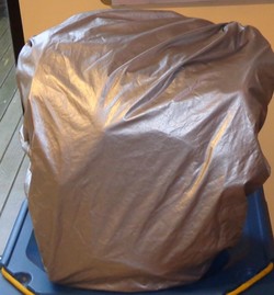 scottpannier-3.jpg scottpannier-3.jpg