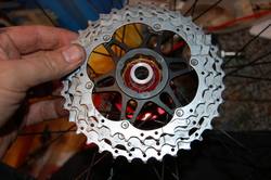 MojoBuild019.jpg