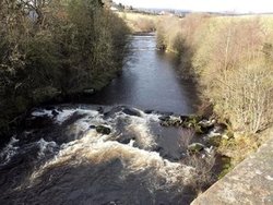 RiverGryfeatBoW_zps3b3c2982.jpg