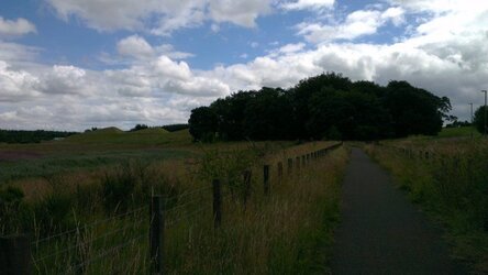 Before Crossing the M8 at the Pyramids.jpg