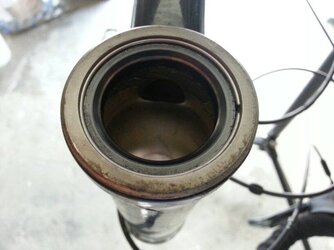 Carrera headset bearings 2025