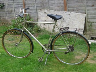 Raleigh Espirit (1).JPG
