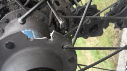 DT Swiss rear hub.jpg