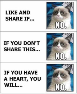grumpy-cat-like-and-share-funny-pictures1.png