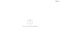 16299738085_b0bd1e0d9c_c.jpg 16299738085_b0bd1e0d9c_c.jpg