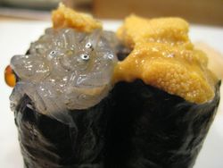 sea-urchin-sushi.jpg