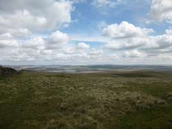 16810574454_56e0c5064b_c.jpg