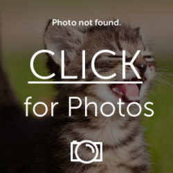 IMG_4882.jpg IMG_4882.jpg