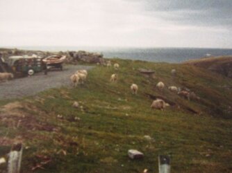 The Main road to Durness from Kinlochbervie in 1980.jpg