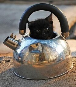 teapot.jpg