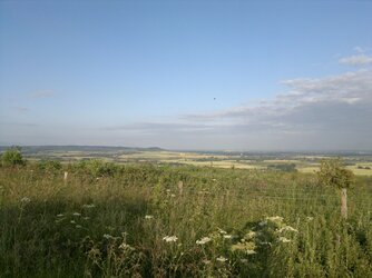 09072011221.jpg