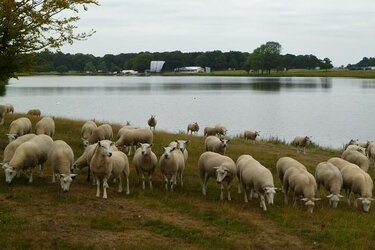 Tom\'s audience.JPG