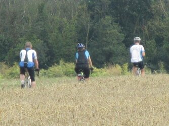 Cyclists Ahead.jpg