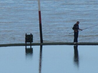 Fishing or Swimming.jpg