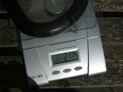 8aKkpnDnBAygFRNxQhrGYL9az5BnVzpVoO2y9YSG5maPzGFhqjZ4hnsbndVYHwwc4v53QEiWId9_37Kqlip9HkijCfr671SK.jpg 8aKkpnDnBAygFRNxQhrGYL9az5BnVzpVoO2y9YSG5maPzGFhqjZ4hnsbndVYHwwc4v53QEiWId9_37Kqlip9HkijCfr671SK.jpg
