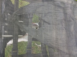 image_zpscj4pyzae.jpe image_zpscj4pyzae.jpe