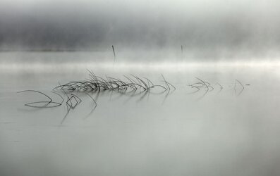 IMG_0800v3.JPG