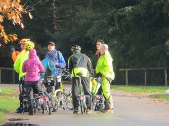 3 Brommies in Windsor Great Park.jpg