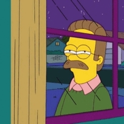 Suspicious-Fry-Flanders-Leonardo-DiCaprio-Meme-Gif_408x408.jpg